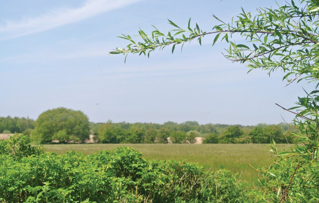 Feriehuse - Ristinge , Danmark - G10138 8