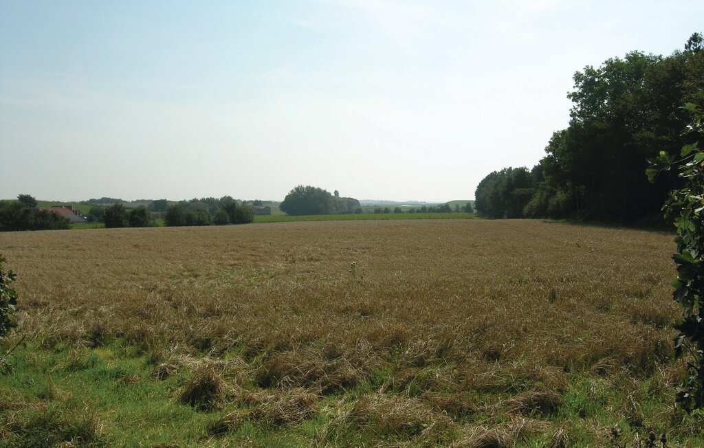 Feriehuse - Ristinge , Danmark - G10655 9