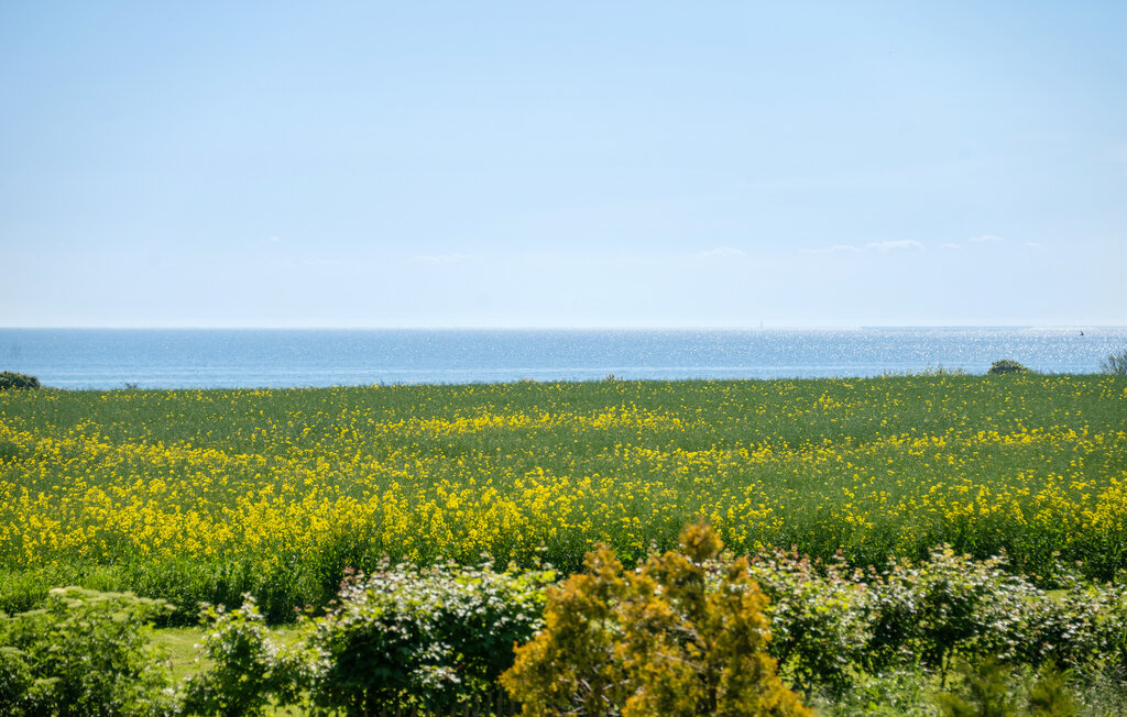 Ferienhaus - Ristinge , Dänemark - G10787 20