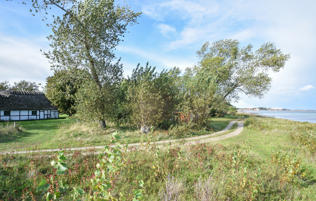 Ferienwohnung - Spodsbjerg , Dänemark - G10974 6