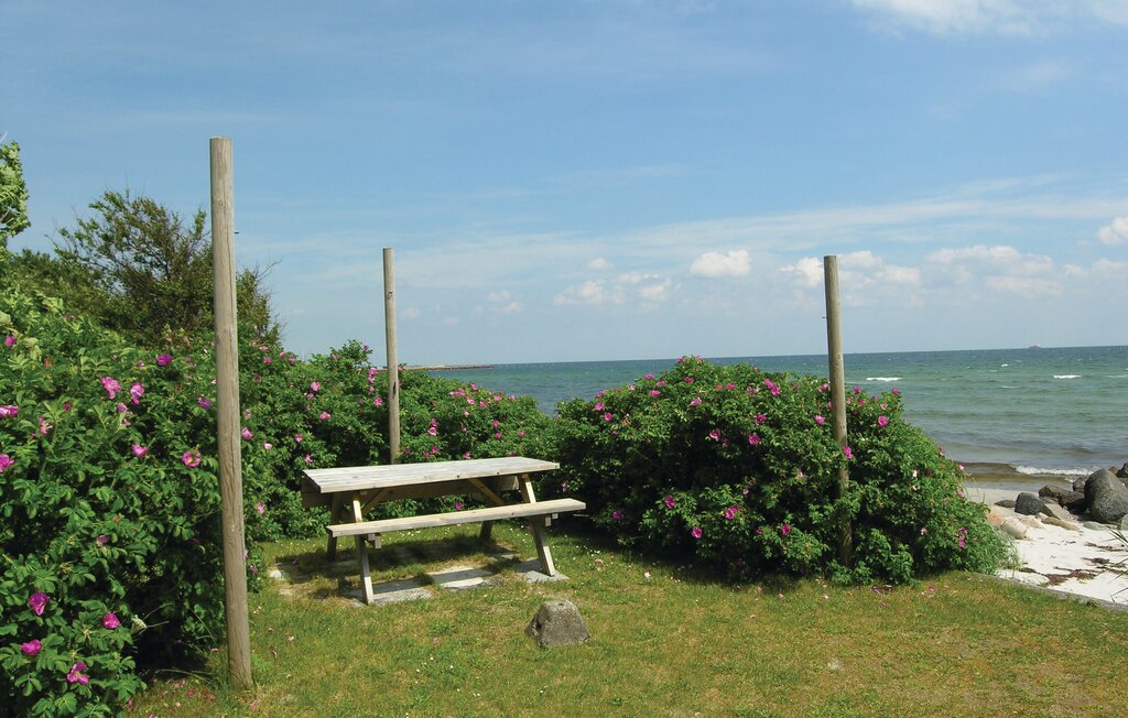 Feriehus - Spodsbjerg , Danmark - G10688 28