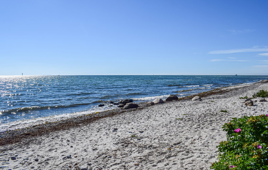 Ferienwohnung - Spodsbjerg , Dänemark - G10974 15