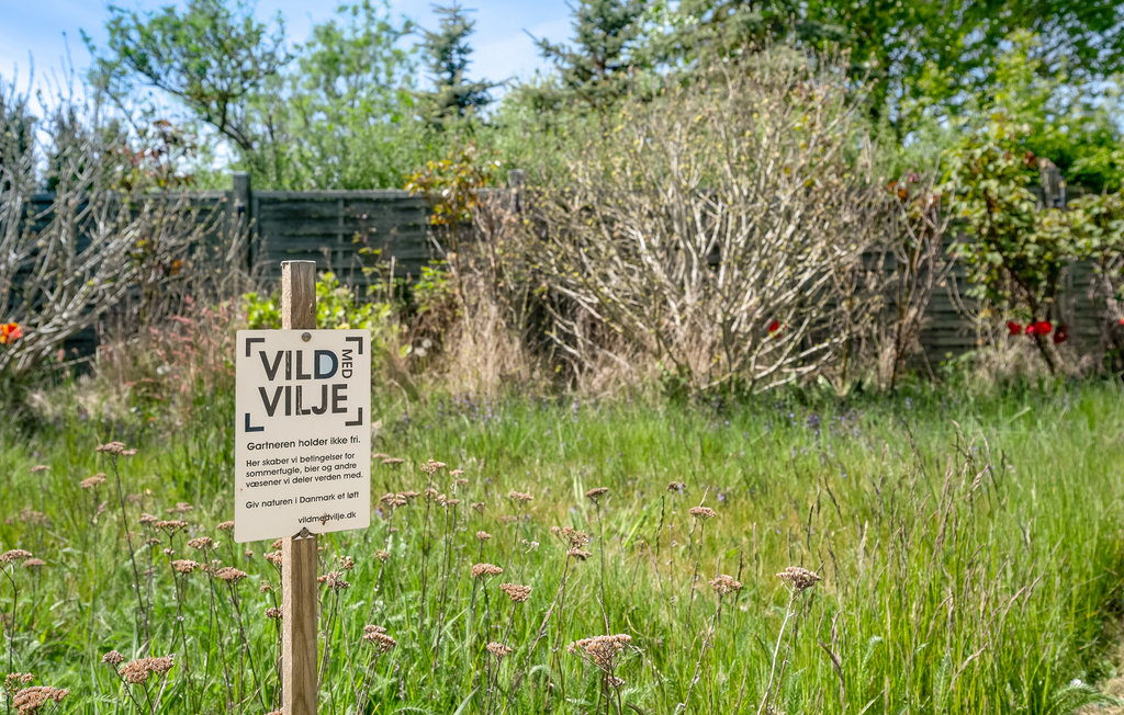Ferienhaus - Bagenkop , Dänemark - G10845 12