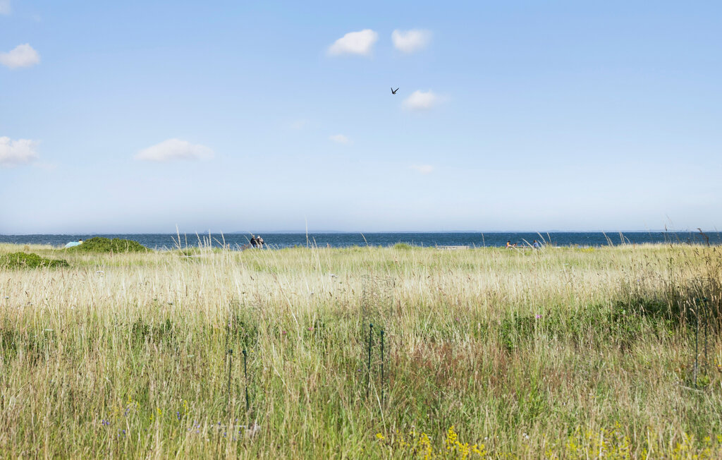 Ferienhaus - Hou , Dänemark - G10888 9