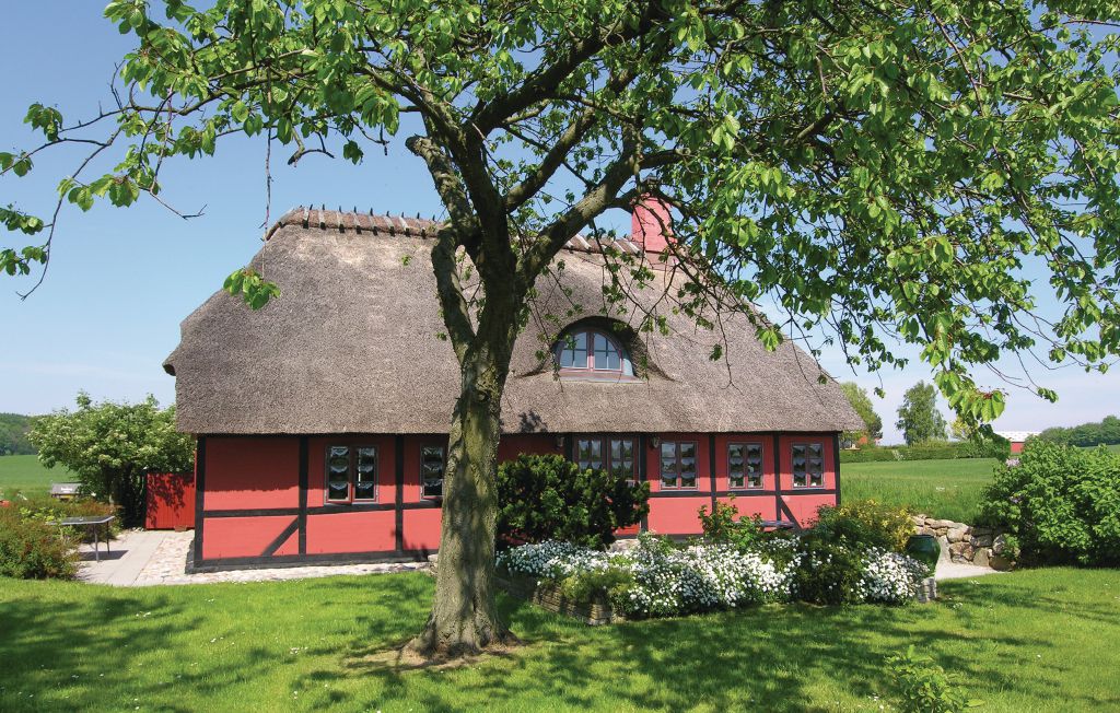 Bild 11 Bild 11