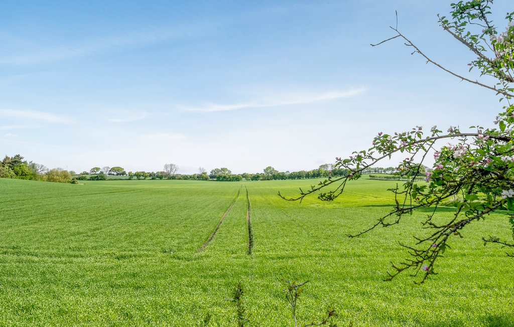 Ferienhaus - Illebølle , Dänemark - G11107 19