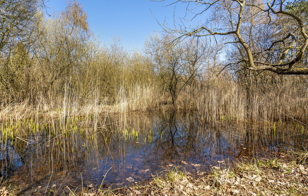 Ferienhaus - Ristinge , Dänemark - G11113 16