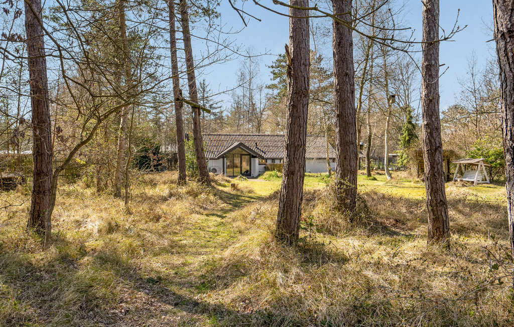 Ferienhaus - Ristinge , Dänemark - G11113 17