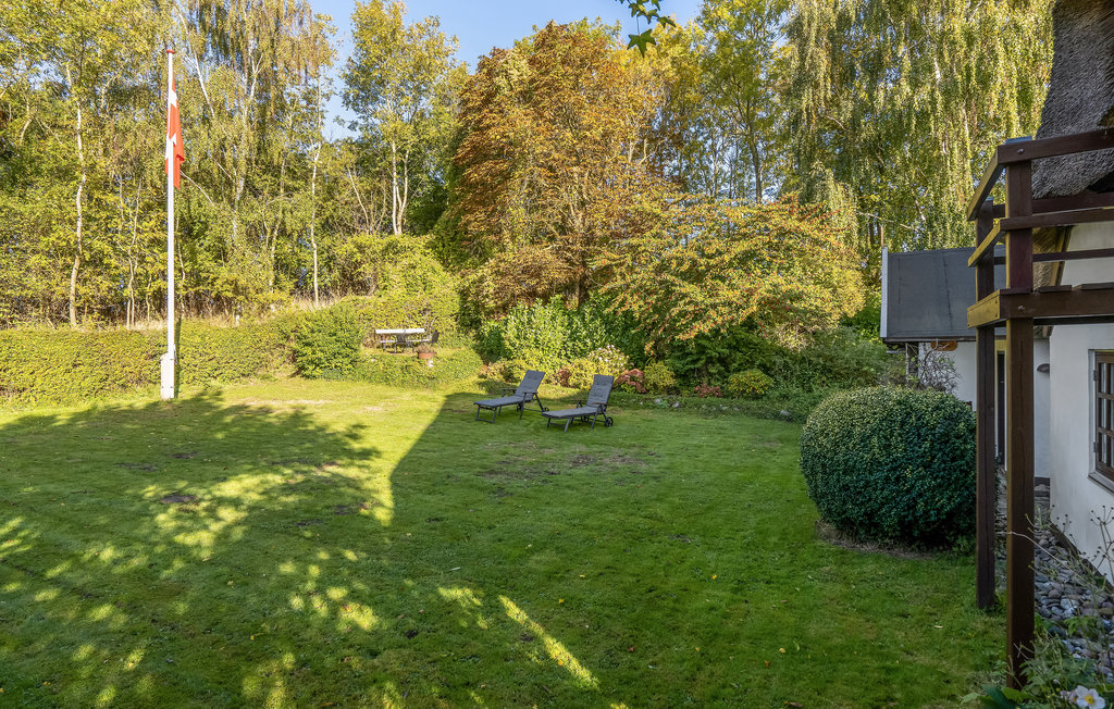 Ferienhaus - Sdr. Longelse , Dänemark - G11172 14