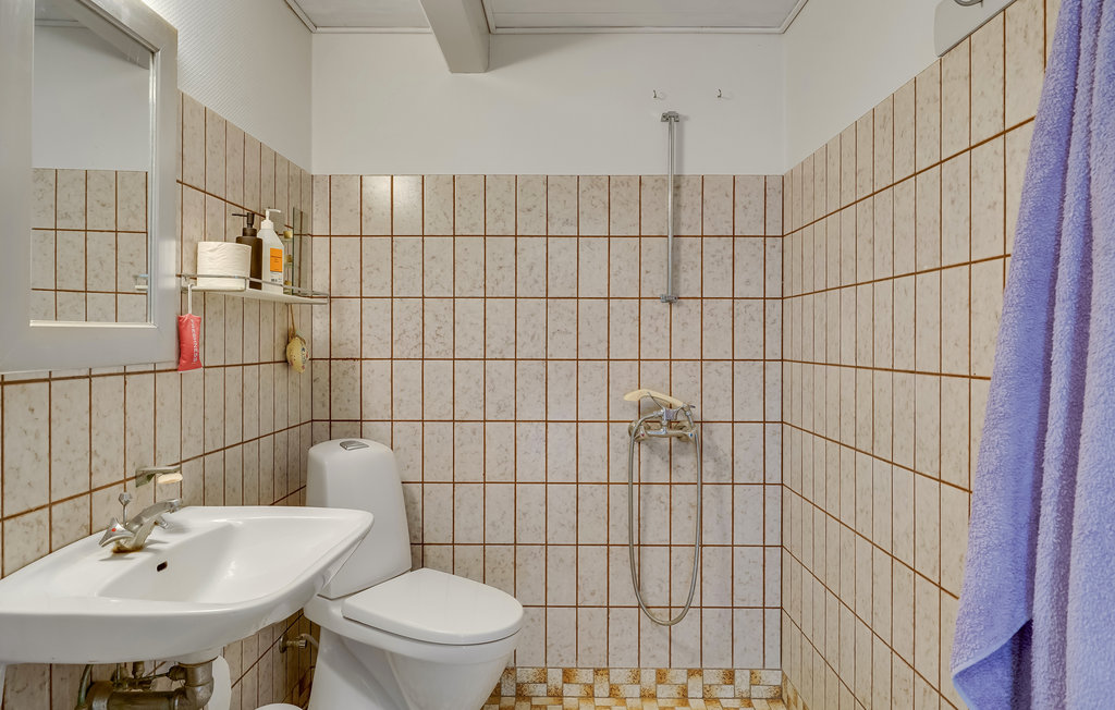 Ferienhaus - Sdr. Longelse , Dänemark - G11172 9