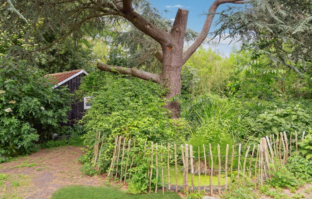 Feriehuse - Søby , Danmark - G11502 14