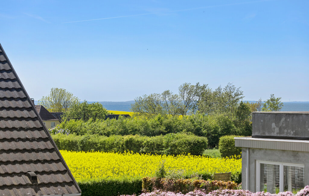 Feriehus - Dageløkke , Danmark - G11267 2