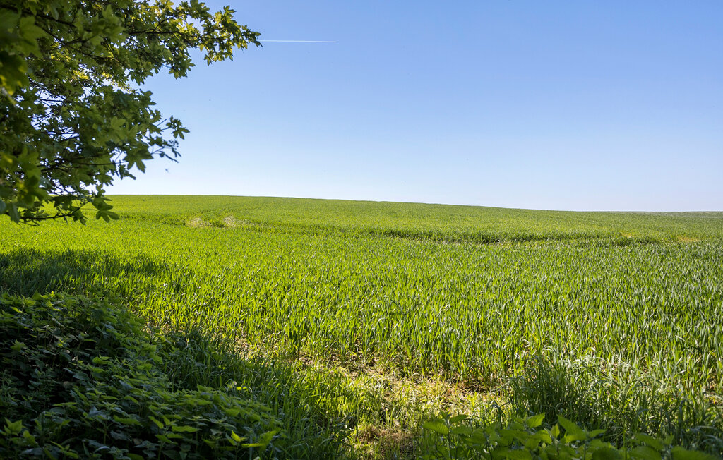 Feriehuse - Emmerbølle , Danmark - G11259 14