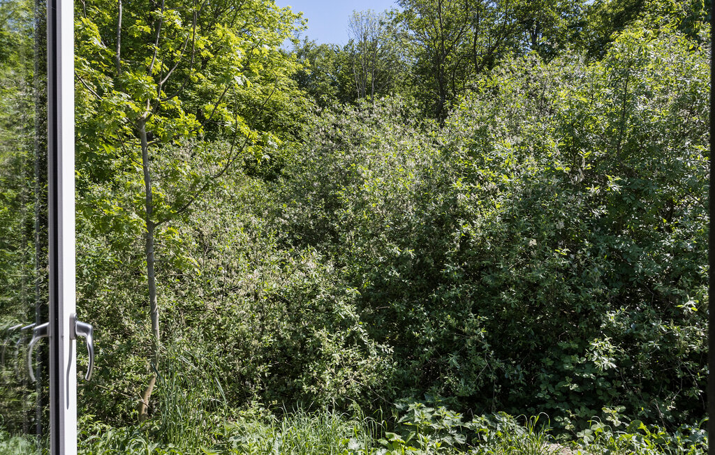 Feriehuse - Lohals , Danmark - G11265 10