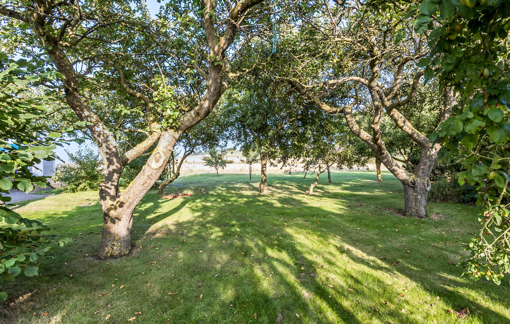 Domy wakacyjne - Dunkær , Dania - G11509 21