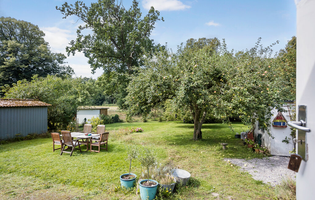 Feriehuse - Tranekær , Danmark - G11277 8