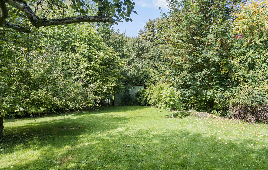 Feriehuse - Tranekær , Danmark - G11277 15