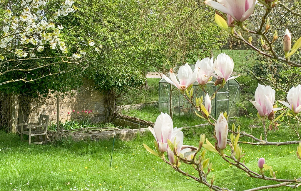 Feriehuse - Botofte , Danmark - G11300 16