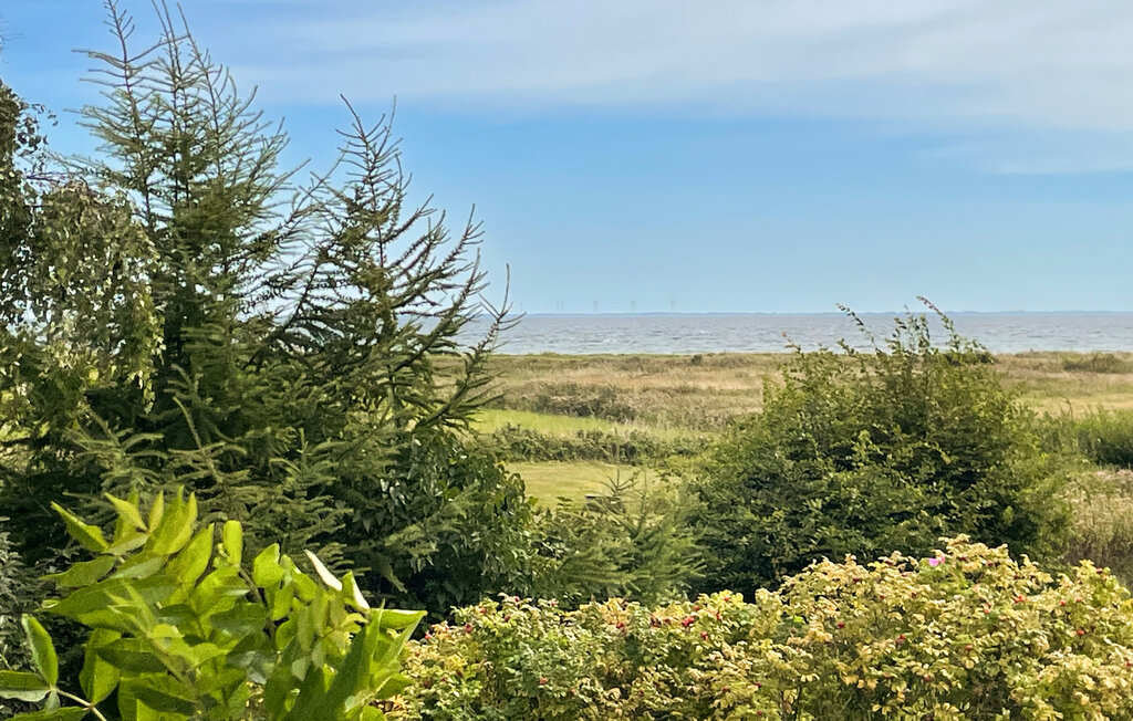 Feriehuse - Løkkeby , Danmark - G11318 16