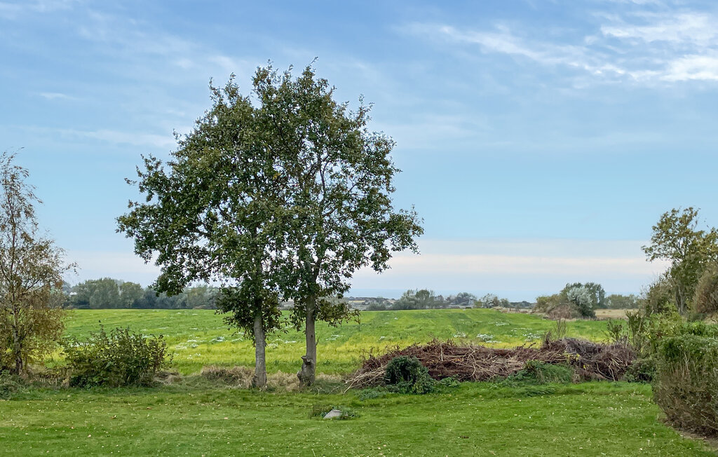 Feriehus - Søby Ærø , Danmark - G11516 10