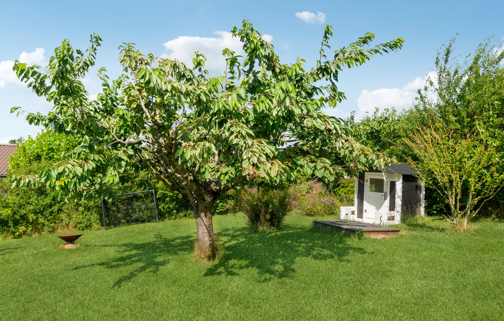 Feriehuse - Vellerup , Danmark - G3161 14