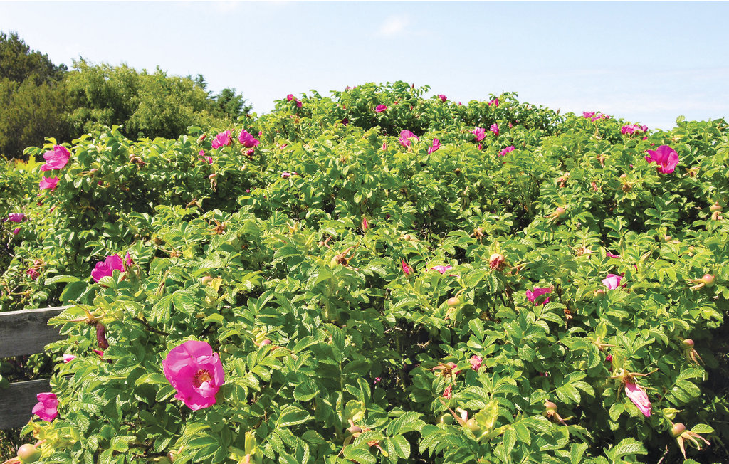 Ferienhaus - Smidstrup Strand , Dänemark - G4191 26