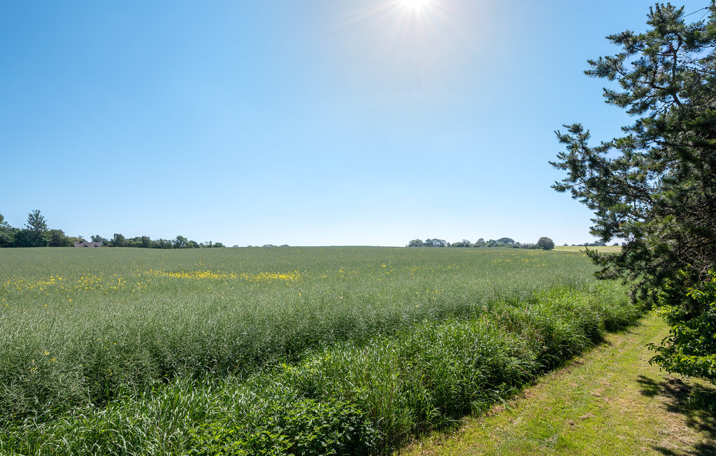 Feriehuse - Udsholt , Danmark - G4137 16