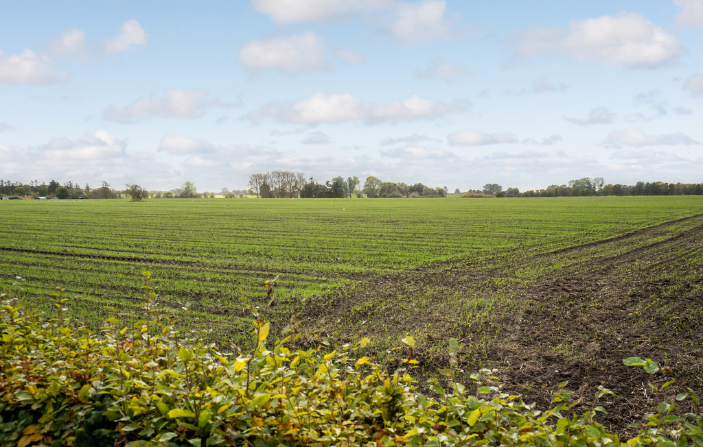 Feriehuse - Jørgensø Strand , Danmark - G51163 17