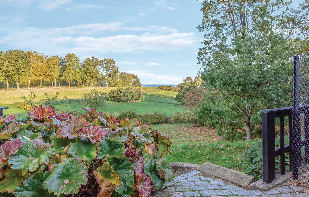 Feriehuse - Asperup , Danmark - G51025 16