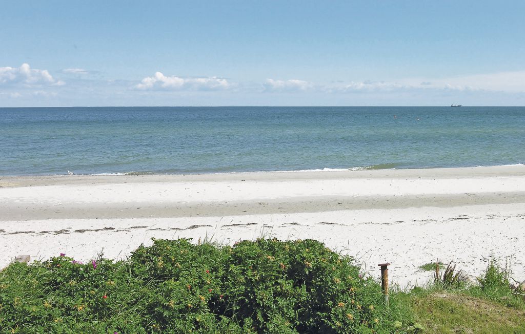 Feriehuse - Tørresø Strand , Danmark - G51004 26