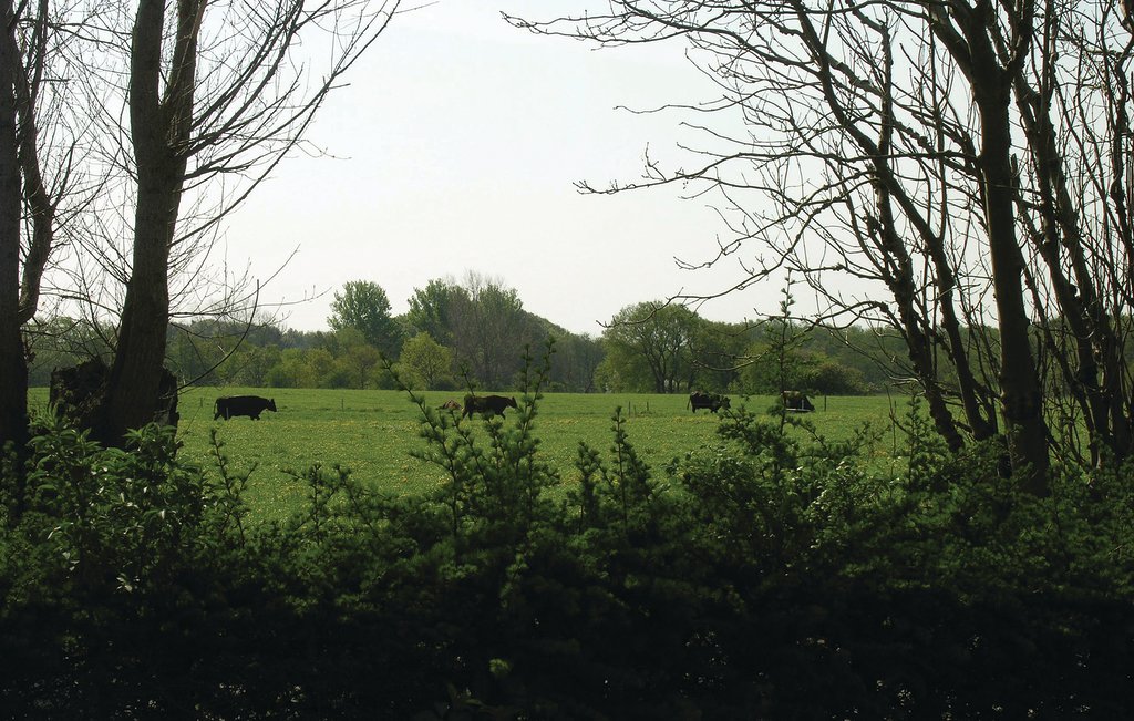 Ferienhaus - Bro Strand , Dänemark - G51767 21