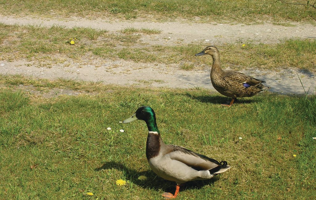 Feriehuse - Varbjerg , Danmark - G51764 21