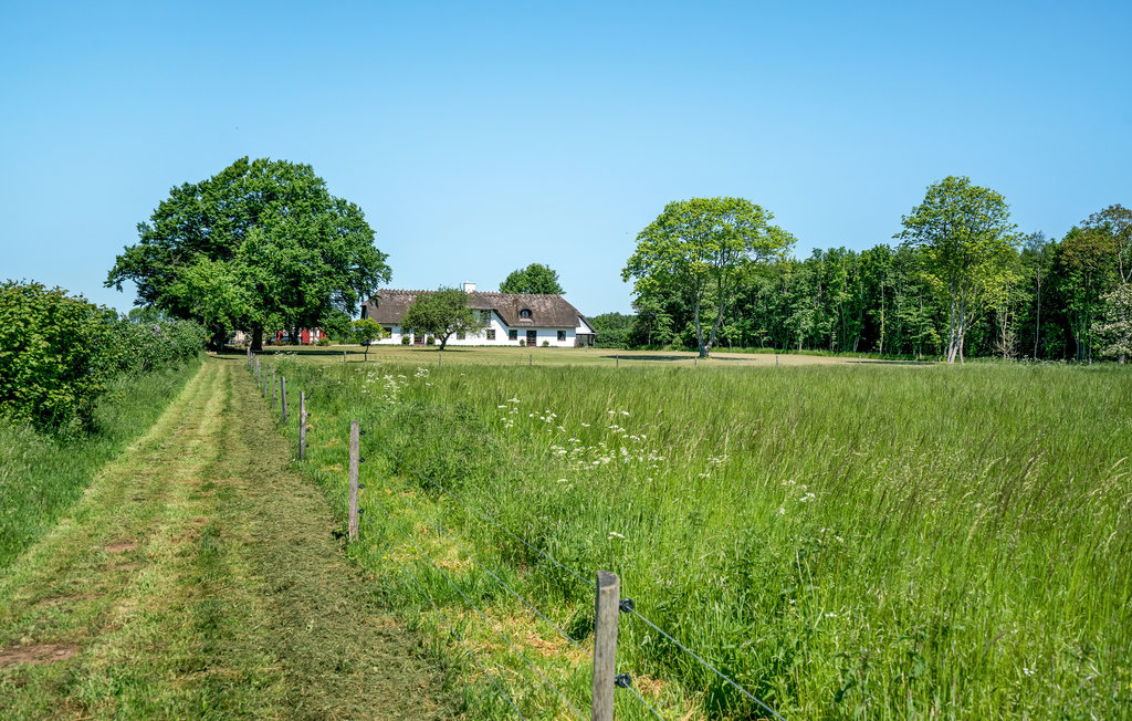 Semesterhus - Tanderup , Danmark - G51073 13