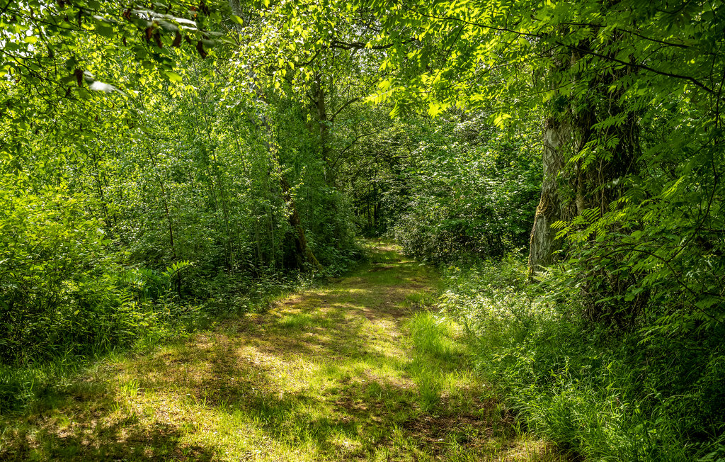 Ferienhaus - Bogense Strand , Dänemark - G51159 10