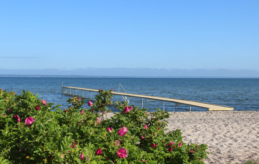 Feriehuse - Varbjerg , Danmark - G51764 8