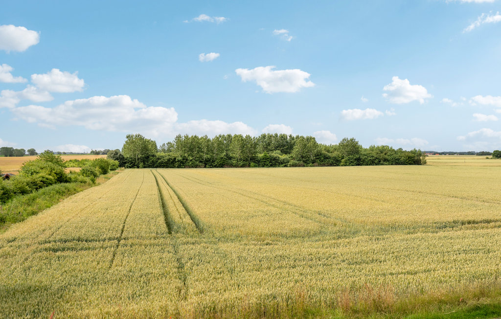 Feriehuse - Kristiansminde Strand , Danmark - G51301 14