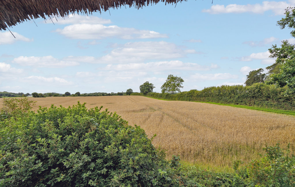 Ferienhaus - Kværndrup , Dänemark - G51302 9