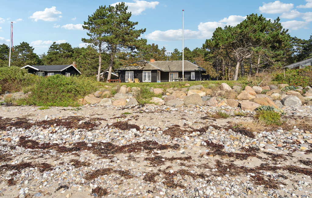 Feriehuse - Langø Strand , Danmark - G51420 8