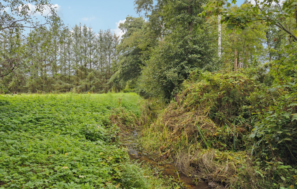 Ferienhaus - Bro Strand , Dänemark - G51317 19