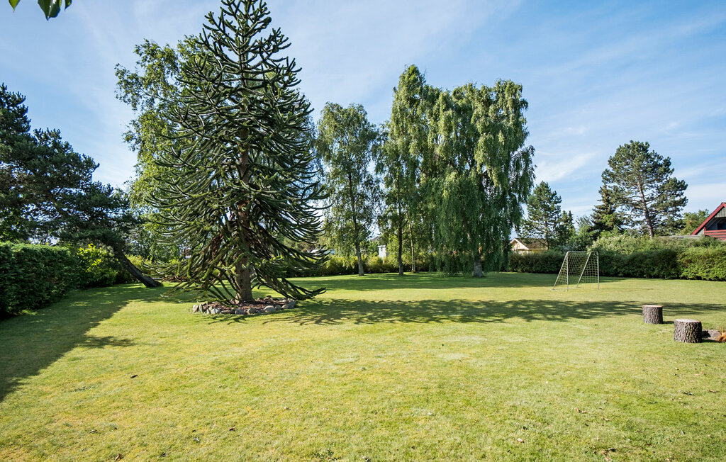 Feriehus - Vejlby Fed Strand , Danmark - G51392 9