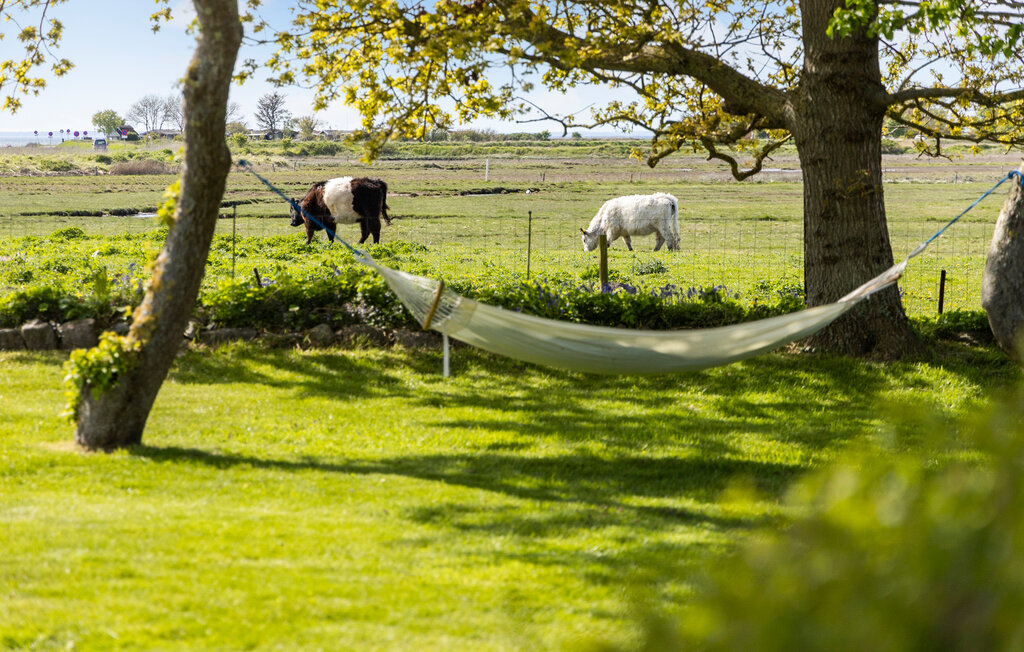 Feriehuse - Bogense Strand , Danmark - G51234 8