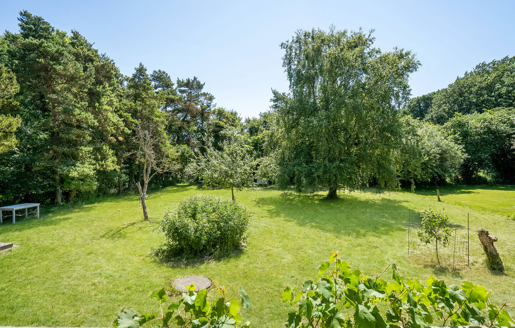 Bild 9 Bild 9