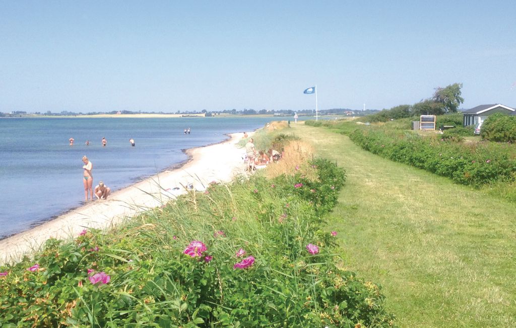 Feriehuse - Sandager Næs , Danmark - G52548 19