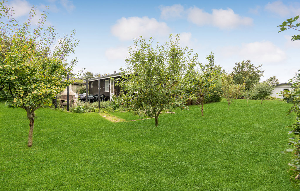 Feriehuse - Sandager Næs Strand , Danmark - G52031 14