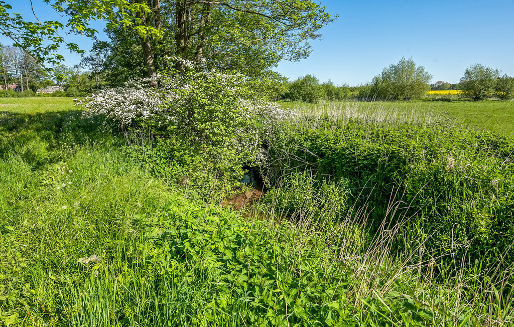 Ferienhaus - Helnæs , Dänemark - G52030 14
