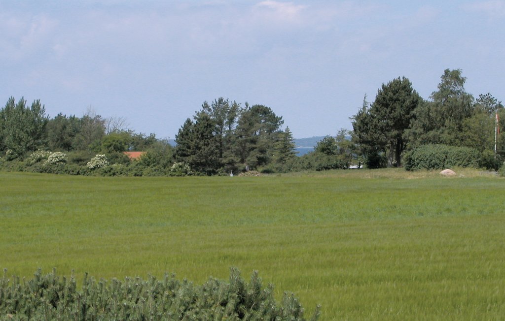 Ferienhaus - Faldsled , Dänemark - G52536 8