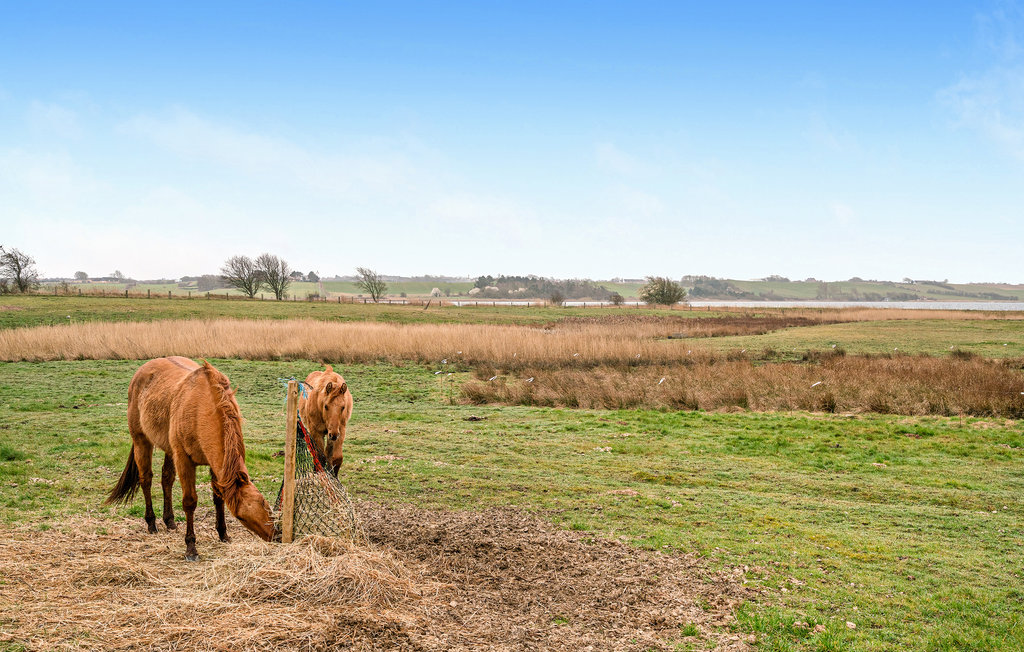 Ferienhaus - Faldsled , Dänemark - G52037 10