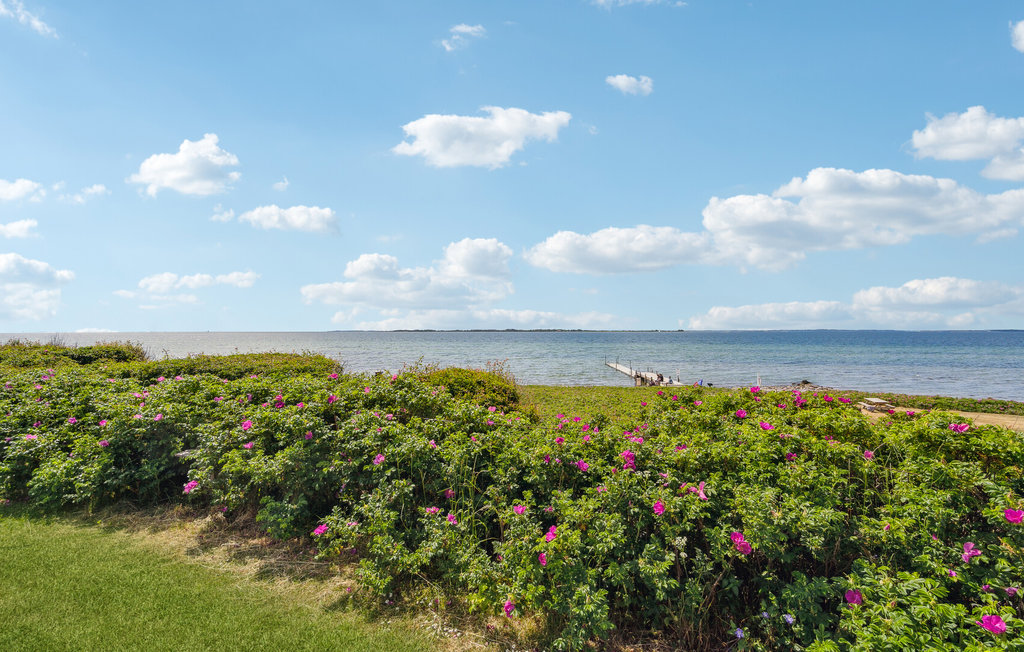 Semesterhus - Sandager Næs , Danmark - G52013 19