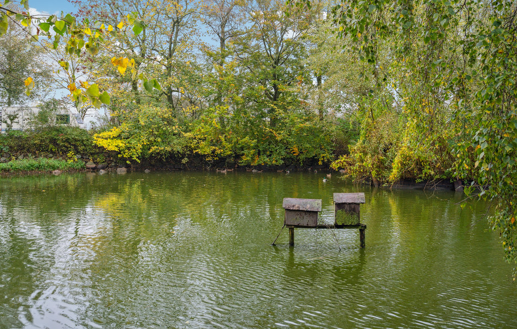 Ferienwohnung - Faaborg , Dänemark - G52070 19