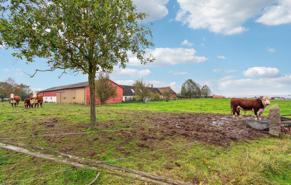 Ferienwohnung - Faaborg , Dänemark - G52072 15